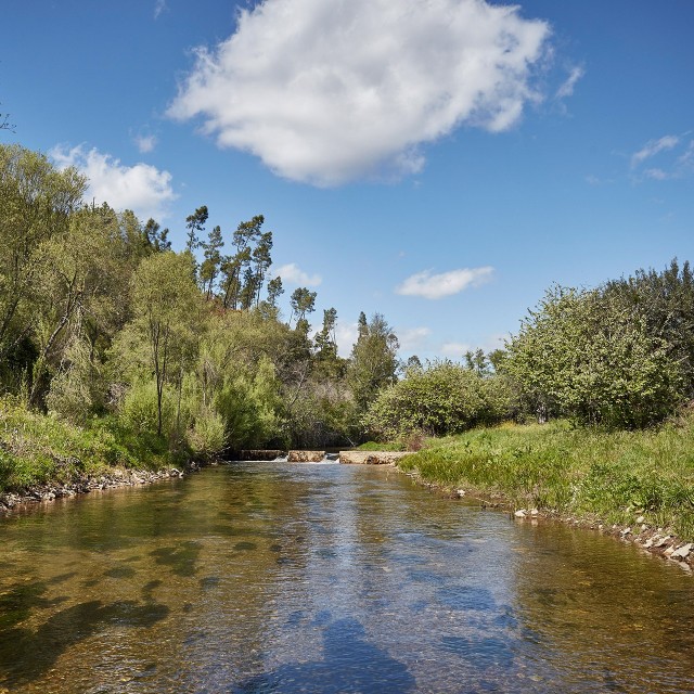 Casa Alecrim - Xisto Sentido